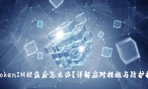 : TokenIM被盗后怎么办?详解应对措施与防护技巧