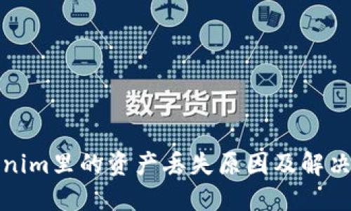Tokenim里的资产丢失原因及解决方案