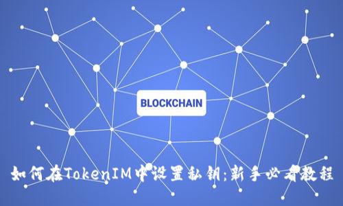 如何在TokenIM中设置私钥:新手必看教程
