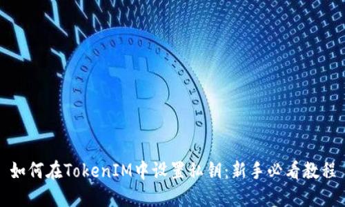 如何在TokenIM中设置私钥:新手必看教程