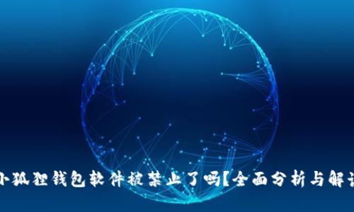 小狐狸钱包软件被禁止了吗?全面分析与解读