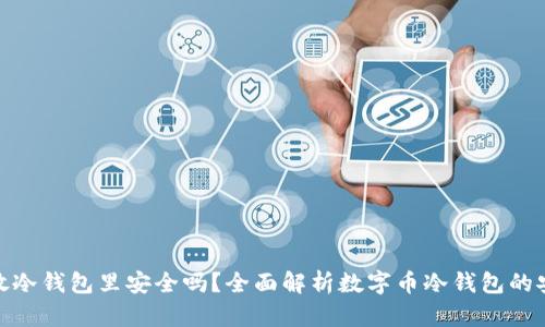 把钱放冷钱包里安全吗?全面解析数字币冷钱包的安全性