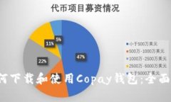 如何下载和使用Copay钱包：全面指南