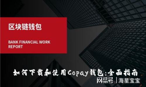 如何下载和使用Copay钱包:全面指南