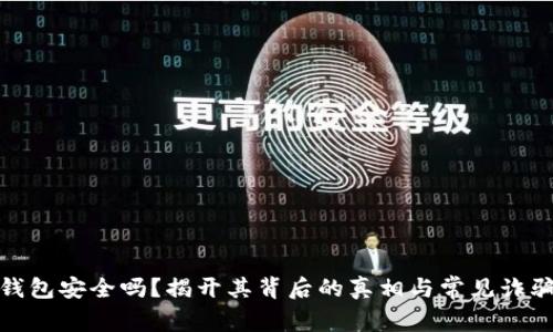 BNB钱包安全吗？揭开其背后的真相与常见诈骗手法
