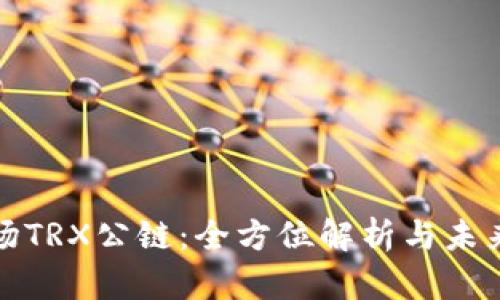 : 波场TRX公链：全方位解析与未来展望
