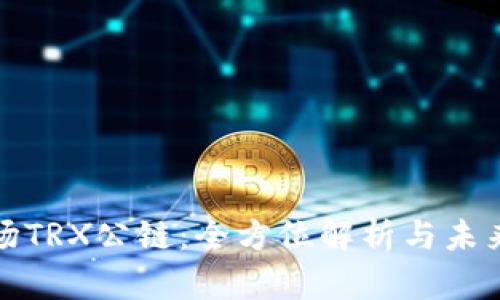 : 波场TRX公链：全方位解析与未来展望