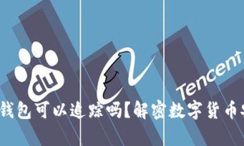  泰达币冷钱包可以追踪吗？解密数字货币安全与隐私