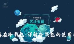 br如何把币存在冷钱包：详解冷钱包的
