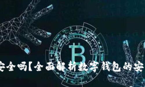 : c币数字钱包安全吗?全面解析数字钱包的安全性及防范措施