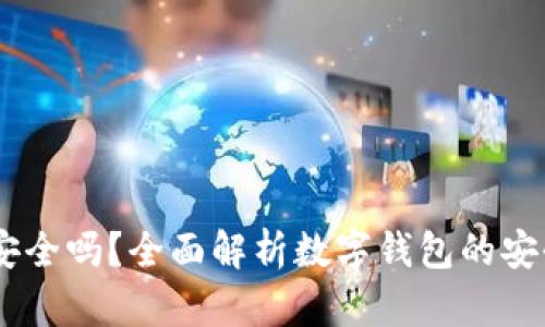 : c币数字钱包安全吗?全面解析数字钱包的安全性及防范措施