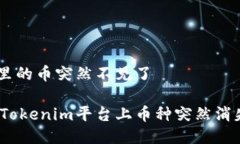 tokenim里的币突然不见了如何解决Tokenim平台上币种