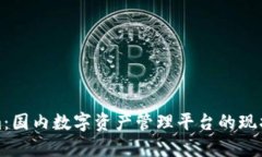 Tokenim：国内数字资产管理平台的现状与发展
