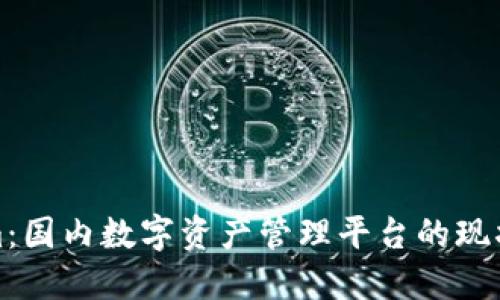 Tokenim：国内数字资产管理平台的现状与发展