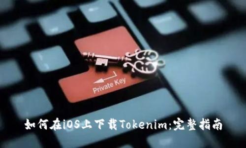 如何在iOS上下载Tokenim：完整指南