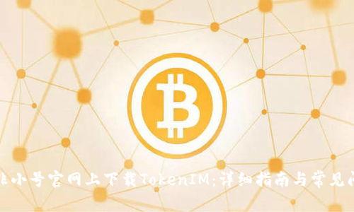 如何在非小号官网上下载TokenIM：详细指南与常见问题解答