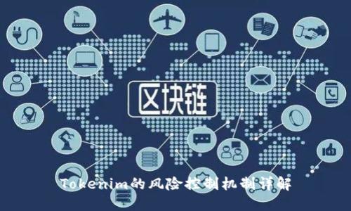 Tokenim的风险控制机制详解