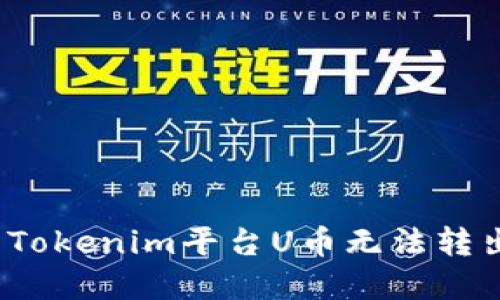 如何解决Tokenim平台U币无法转出的难题？