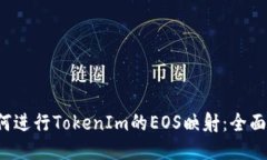  如何进行TokenIm的EOS映射：全面指南