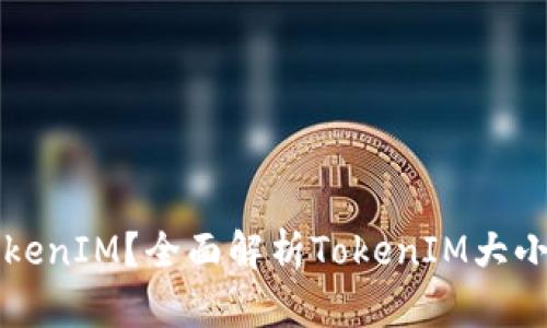 什么是TokenIM？全面解析TokenIM大小及其应用