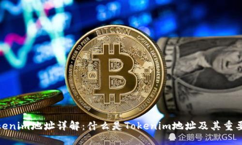 Tokenim地址详解：什么是Tokenim地址及其重要性