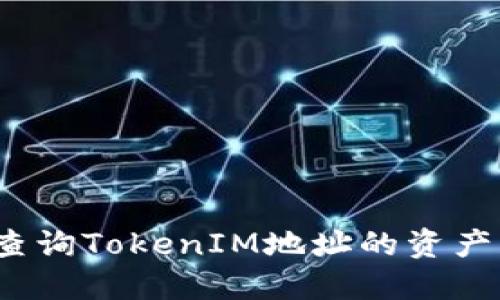 如何查询TokenIM地址的资产情况？