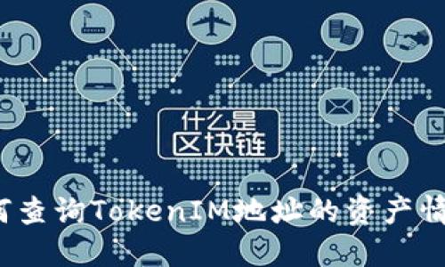 如何查询TokenIM地址的资产情况？