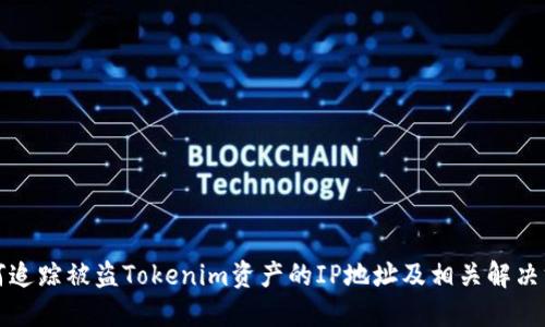 如何追踪被盗Tokenim资产的IP地址及相关解决方案