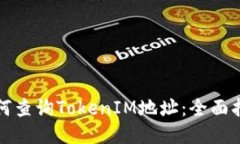 如何查询TokenIM地址：全面指南