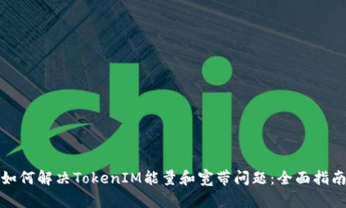 如何解决TokenIM能量和宽带问题：全面指南