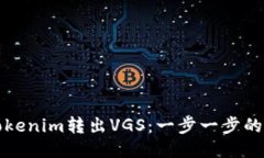 如何从Tokenim转出VGS：一步一步的详细指南