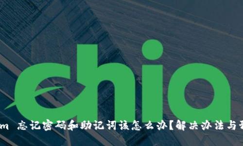  Tokenim 忘记密码和助记词该怎么办？解决办法与预防措施