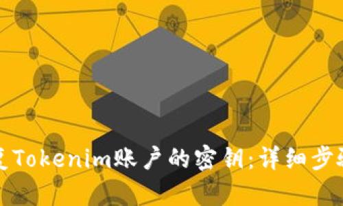 如何恢复Tokenim账户的密钥：详细步骤与技巧