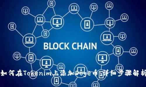如何在Tokenim上添加Doge币：详细步骤解析